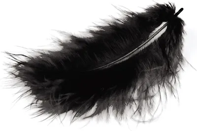 Produktbild von Marabufedern schwarz 10/12 cm 17 Stück