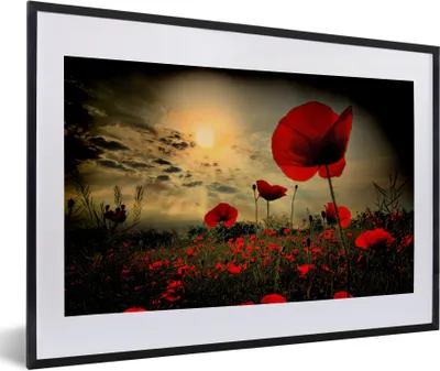 Produktbild von MuchoWow® Gerahmtes Poster Mohnblumen am Abend 60x40 cm - Poster mit Schwarzem Bilderrahmen Wandposter Rahmen Foto Bilder - Schlafzimmer - Plakat in Rahmen - Drucken