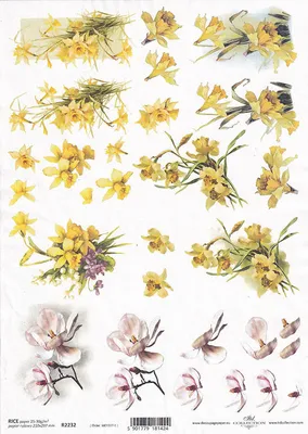 Image de ITD Papier de riz découpage Papier de bricolage Technique de la serviette-R2232 Narcisse, Magnolia