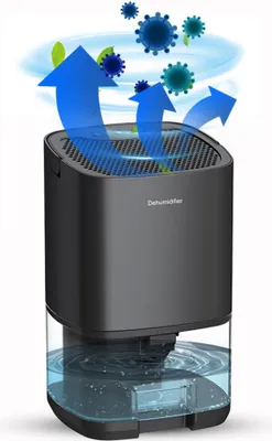 A dehumidifier is shown with arrows indicating air purification and removal of airborne particles like viruses and leaves.