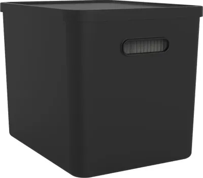 Image de rotho Archivbox MY PAPER