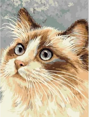 Produktbild von Malen nach Zahlen - 30x40cm Katze