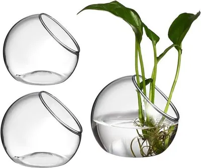 Produktbild von Terrarium Glasvasen Set von 3 - 8/10/12 cm - Fasenöffnung - Deko Tischdekoration - Homevero