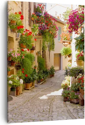 Produktbild von Bild auf Leinwand - Leinwandbild - Einteilig - Blume Straße Haus - 50x70cm - Wand Bild - Wanddeko - Wandbilder - Leinwanddruck - Kunstdruck - Wanddekoration - Leinwand bilder - Wandbild - PA50x70-3586