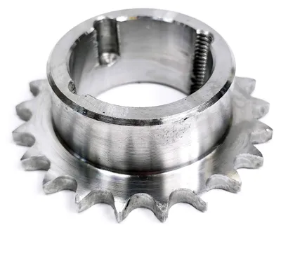 Immagine prodotto di Pignone 06B-1 Z=21 per Taper-Lock 1008, Ozdowski