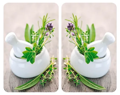 Produktbild von WENKO 2er Set hitzebeständige Herdabdeckplatten Kräutergarten