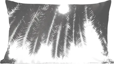Produktbild von MuchoWow® Zierkissen Sofakissen Wohnzimmer Dekokissen 50x30 cm Palmenblätter - Tropisch - Sonne - Palme - Wohnzimmerdekoration - Polster mit Photo