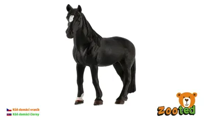Produktbild von Hauspferd, schwarz, Zooted, Kunststoff, 13 cm