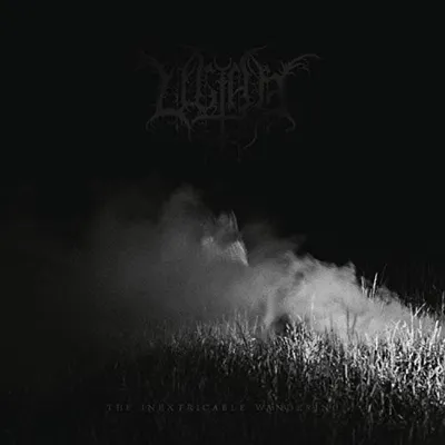 Produktbild von The Inextricable Wandering