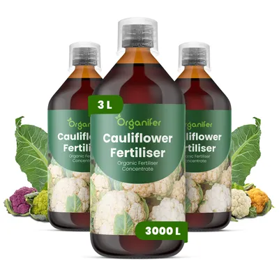 Obrázek produktu pro Karfiol Tekuté Hnojivo 3x1 L – 2-1-8 NPK – Pro Zeleninu – Pro Silné Hlávky & Zdravé Listy – Podporuje Kořeny & Vitalitu – Organifer