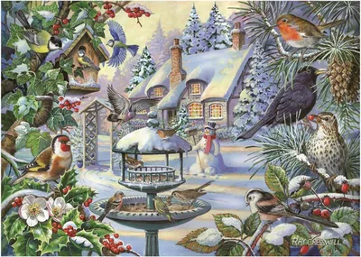 Image de Maison des Puzzles Puzzle Oiseaux d'hiver 500 XL Teile Tiere