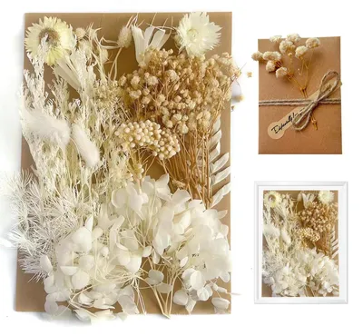 Getrocknete Blumen für DIY – 8+ Sorten, natürliche Farben