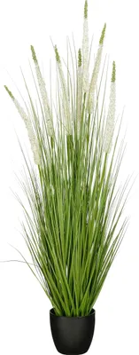 Productafbeelding van Mica Decorations Eremurus – Kunstgras in Pot – Realistische Nepplant Woondecoratie – Kunstplanten voor Binnen en Buiten – H140 x Ø45 cm – Groen, Wit