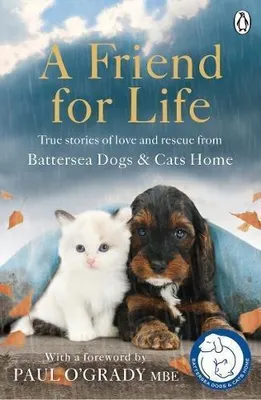 Productafbeelding van A Friend for Life