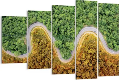 Produktbild von Bild auf Leinwand - Leinwandbild - 5 Teile - Luftaufnahmen Weg Wald - 150x100cm - Wand Bild - Wanddeko - Wandbilder - Leinwanddruck - Bilder - Wanddekoration - Leinwand bilder - EG150x100-4659