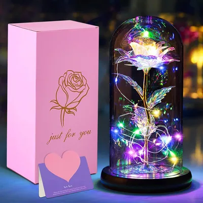 Ewige Rose im Glas mit LED-Licht – 20 warmweiße LEDs, 21 cm