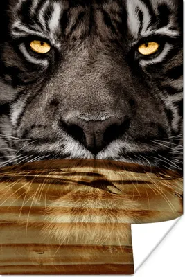 Produktbild von MuchoWow® Poster Tiger - Porträt - Gold 40x60 cm - Plakate für die Wand - Poster Babyzimmer