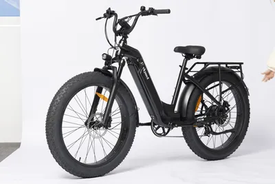 Productafbeelding van D9 Elektrische fatbike voor volwassenen, 25 km/u, 48V 15Ah, verwisselbare accu, verende voorvork, hydraulische schijfremmen, maximaal laadvermogen: 150 kg