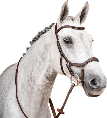 Produktbild von Horseware Inglesa Micklem 2 Competition Trense Braun Extra Full Braun Extra Full