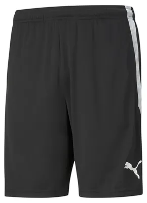 Image de Puma Teamliga Short D'entraînement Hommes - Noir | Taille: S