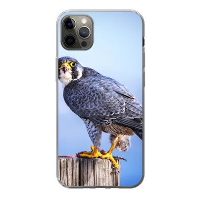 Produktbild von MuchoWow® Handyhülle Schutzhülle Hülle für iPhone 12 Pro Max Nahaufnahme eines Raubvogels auf einer dicken Holzstange Silikon Softcase Handy Hülle - Hartschale