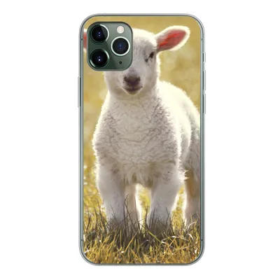 Produktbild von MuchoWow® Handyhülle Schutzhülle Hülle für iPhone 11 Pro Max Schafe - Gras - Sonne Silikon Softcase Handy Hülle - Schutz