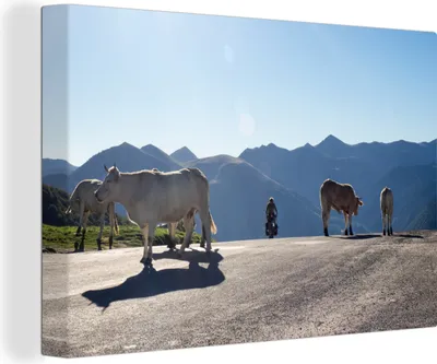 Produktbild von OneMillionCanvasses® - Leinwandbilder - 150x100 cm, Schottische Hochlandrind - Licht - Berge - Natur, Wandbilder Wohnzimmer Hochland Rind - Tier Wanddekoration - Hochland Rind - Kuh - Gemälde auf Holzrahmen