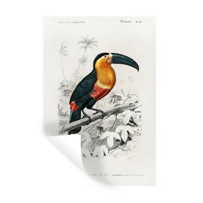 Produktbild von MuchoWow® Wandtattoo Wandsticker Wandaufkleber Vogel - Tukan - Weinlese 60x90 cm Selbstklebend und Repositionierbar - Sticker - Dekorfolie