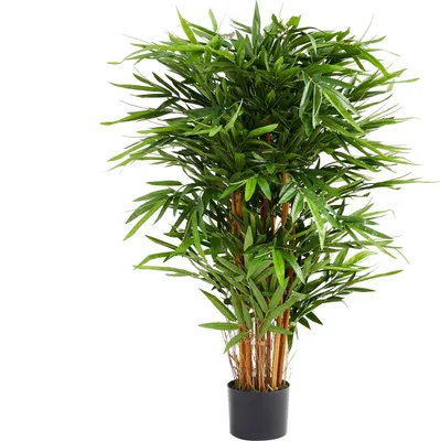 Produktbild von aplanta Künstlicher Bambus – Nayoko | 120 cm, Echtholzstamm, UV-beständig, für drinnen, Kunstbaum, wie echt, Allergiker geeignet, pflanzliche Dekoration Praxis, Office & Wohnzimmer