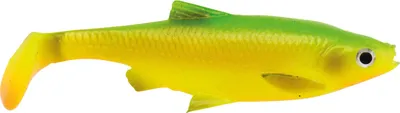 Produktbild von Savage Gear 3D Roach Paddletail - Gummifische, Farbe:Firetiger, Länge / Gewicht / Packungsinhalt:12.5cm / 22g / 2 Stück