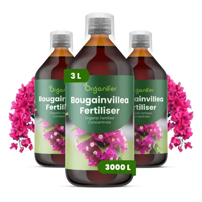 Zdjęcie produktu dla Bougainvillea Nawóz Płynny 3x1 L – 2-1-8 NPK – Do Kvitnúce Rośliny – Do Bujne Kwiaty i Silne Pędy – Podporuje Korzenie i Vitalitu – Organifer