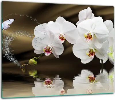 Obrázok produktu pre Kryt varnej dosky Kryt sklokeramickej varnej dosky Splashback Glass 60x52cm Flower