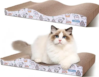 Produktbild von 2 Stück Katzenkratzsäule mit Katzenminze und Karton-Kratzmatten für Bett und Sofa.