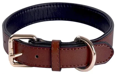 Produktbild von Solidchoice – Verstellbarer Lederhalsband für Hunde mit weichem Innenfutter