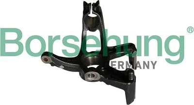 Produktbild von Borsehung B12113 Achsschenkel Radaufhängung Lenkung für VW POLO (AW1, BZ1) Vorne Links