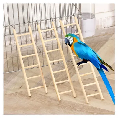 Produktbild von Kletterleiter für Papageien 6 Stück mit 3 bis 8 Stufen für Käfigvögel wie Sittiche und Unzertrennliche geeignet als Krallenschleifspielzeug