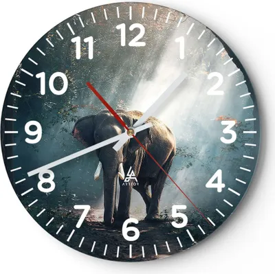 Produktbild von Wanduhr - Rund - Glasuhr - elefant natur - 40x40cm - Schleichendes Uhrwerk - Lautlos - zum Aufhängen bereit - Dekoration Modern - Wanddekoration aus Glas - C4AR40x40-3972