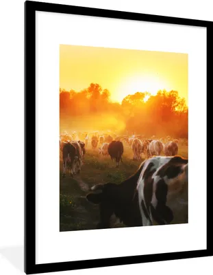 Produktbild von MuchoWow® Gerahmtes Poster Kühe - Sonnenuntergang - Wiese - Tiere 60x80 cm - Poster mit Schwarzem Bilderrahmen Wandposter Rahmen Foto Bilder - Wohnzimmer - Dekorationen - Prämie