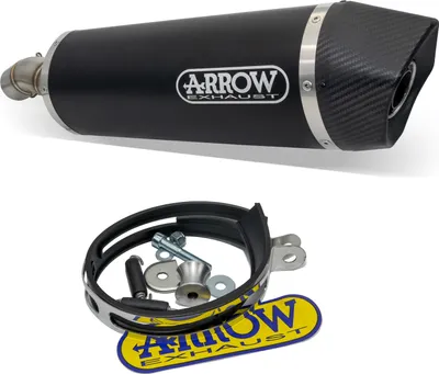 Image de ARROW maxi race-tech aluminium foncé silencieux et embout pour BMW F 800 r