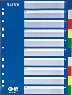 Immagine prodotto di LEITZ 1256-60-00 Cartelle di plastica vuote A4 10 pezzi colorate