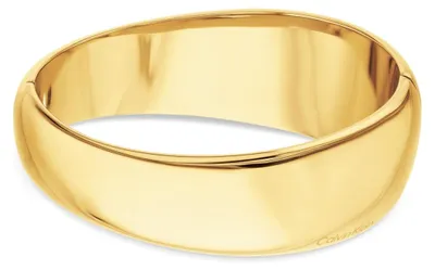 Obrázok produktu pre Calvin Klein JF35000830000, Žena, Zlato, Oceľ