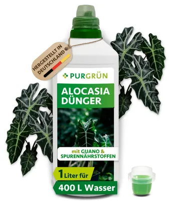Produktbild von Purgrün Alocasia-Dünger | Flüssigdünger für Alocasien | 1L