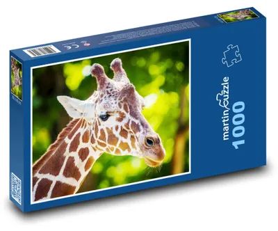 Obrázek produktu pro martinpuzzle - Puzzle 1000 - Žirafa