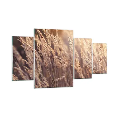 Produktbild von Bilder auf glas - 4 Teile - Boho Ähren Feld - 160x90cm - Glasbilder - Wandbilder - Bilder - zum Aufhängen bereit - Wanddekoration aus Glas - Glas Bilder - Wandbild auf Glas - GDL160x90-4838