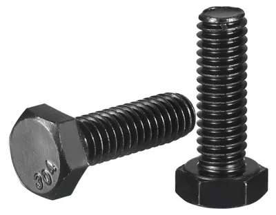 Productafbeelding van Zeskantschroeven 5 stuks 5/16 18 x 1" Roestvrij staal met zwarte oxidelaag