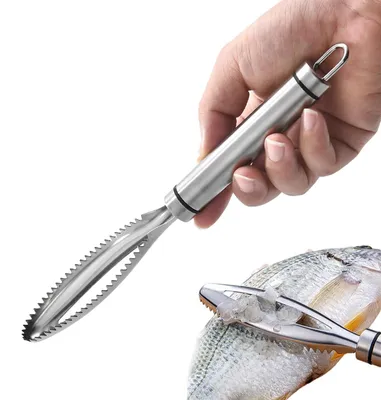 Fischschupper aus Edelstahl 304, 23,5 cm, silber