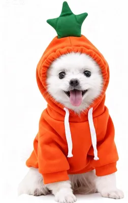 Produktbild von Halloween Kostüm Hund Karotte Orange XL mit Fleece Kapuze