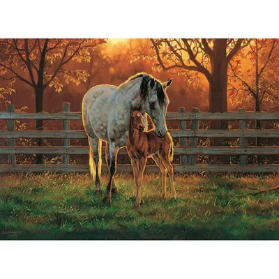 Produktbild von COBBLE HILL Puzzle Stille 500 Teile