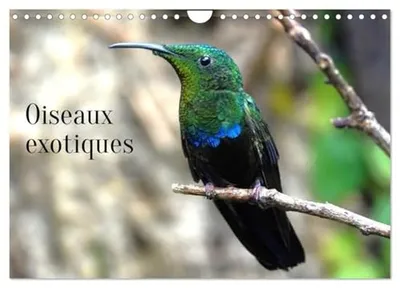 Immagine prodotto di Calendario da parete 2026 con immagini di uccelli esotici, formato A4