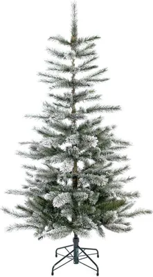 Immagine prodotto di Evergreen Weihnachtsbaum Cedar Frost Kiefer mit Metallständer 210 cm Hoch Ø 114 cm